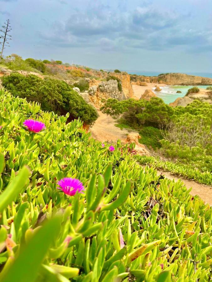 Marina Zen Apartment - Orada, Albufeira Eksteriør bilde